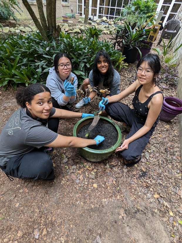 Gardening club fosters growth